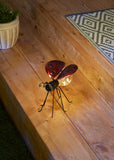 Ladybug Solar Glow Bug