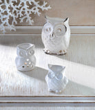Distressed White Owl Figurine - Distinctive Merchandise
