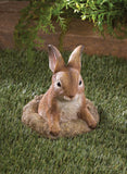 Curious Bunny Garden Décor - Distinctive Merchandise