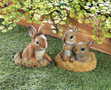 Curious Bunny Garden Décor - Distinctive Merchandise