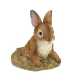 Curious Bunny Garden Décor - Distinctive Merchandise