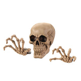 Skeleton Wall Décor Set - Distinctive Merchandise