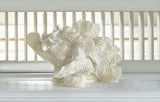 Large White Coral Tabletop Décor - Distinctive Merchandise