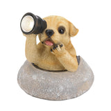 Puppy With Telescope Solar Light - Distinctive Merchandise