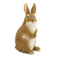 Curiously Cute Bunny Garden Figurine - Distinctive Merchandise