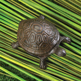 Turtle Key Hider - Distinctive Merchandise