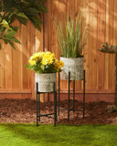 White Wash Galvanized Bucket Plant Stand Set/2