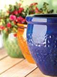 Jewel-Tone Flower Pot Trio - Distinctive Merchandise