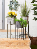 White Wash Galvanized Bucket Plant Stand Set/2