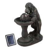 Thirsty Dog Solar Fountain (incl. Pump)