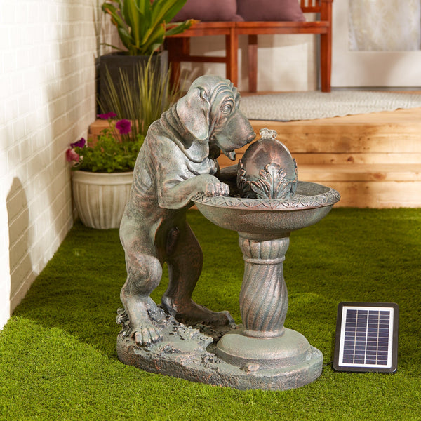 Thirsty Dog Solar Fountain (incl. Pump)