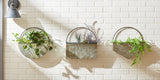 Round Galvanized Wall Planter