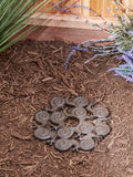 Snail Design Cast Iron Stepping Stone