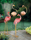 Bright Standing Flamingo Looking Back - Distinctive Merchandise