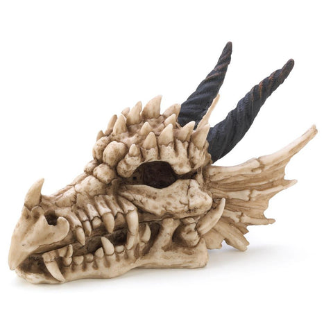 Dragon Skull Treasure Box - Distinctive Merchandise