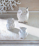 Friendly Owl Oil Warmer - Distinctive Merchandise