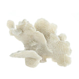 Large White Coral Tabletop Décor - Distinctive Merchandise