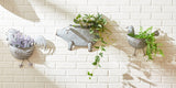 Pig Galvanized Wall Planter