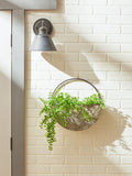 Round Galvanized Wall Planter