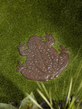 Frog Stepping Stone
